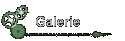   Galerie